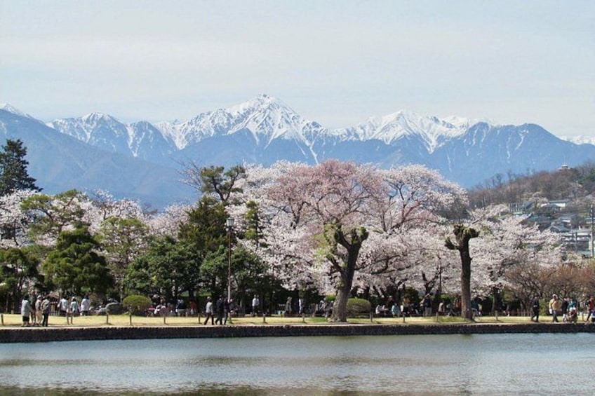Matsumoto Castle, Sake & Local Bites Walking Tour 4
