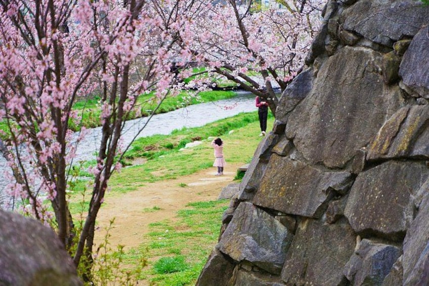 Matsumoto Castle, Sake & Local Bites Walking Tour 2