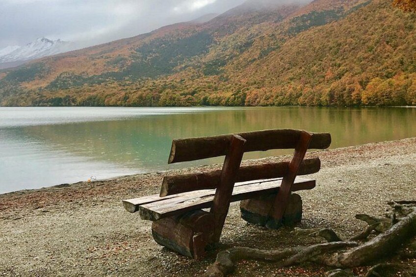 Un banco de madera junto a un lago, con árboles de colores otoñales al fondo. 5