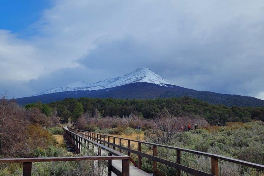 Pasarela de madera que conduce hacia una montaña nevada. 2