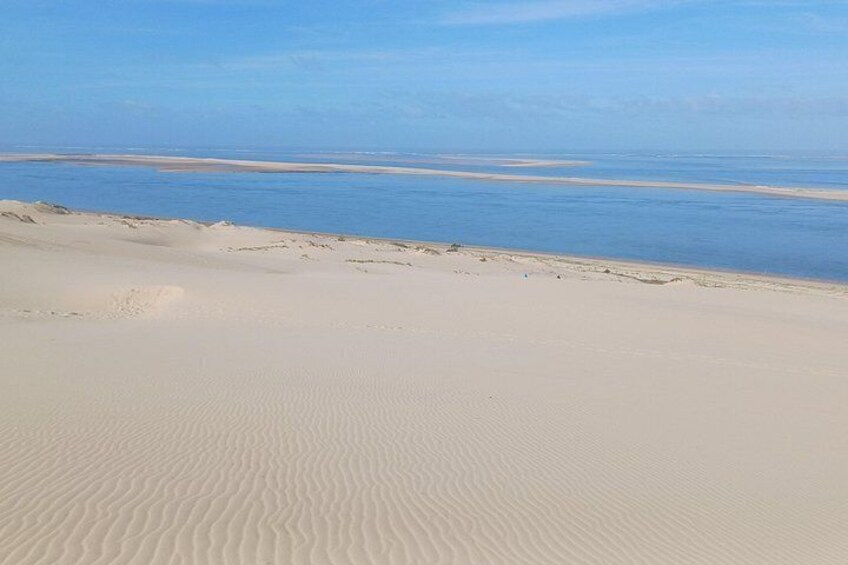 Dune of Pilat, Oysters and Arcachon ! What else? 2