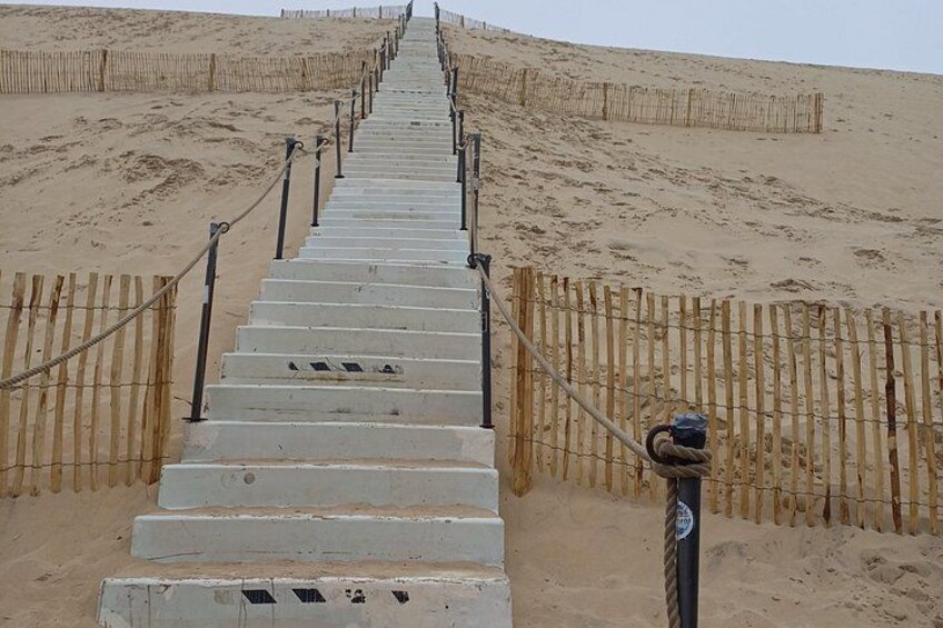 Dune of Pilat, Oysters and Arcachon ! What else? 2