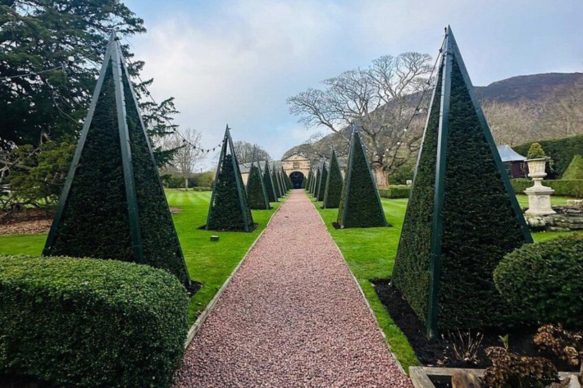 A pathway lined with conical topiary trees leading to a building. 5