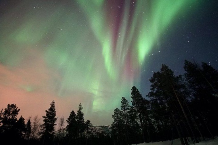 Les aurores boréales au-dessus d’un paysage boisé, de nuit. 4