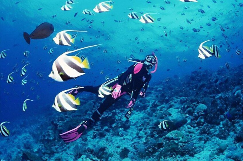 A diver surrounded by tropical fish in a clear blue ocean. 1