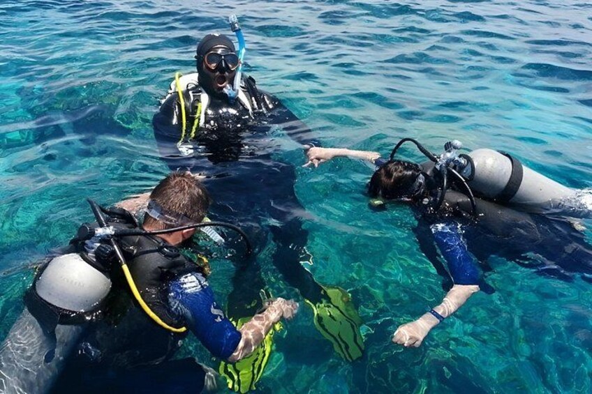 Two scuba divers in clear blue water, one pointing at something on the ocean floor. 2