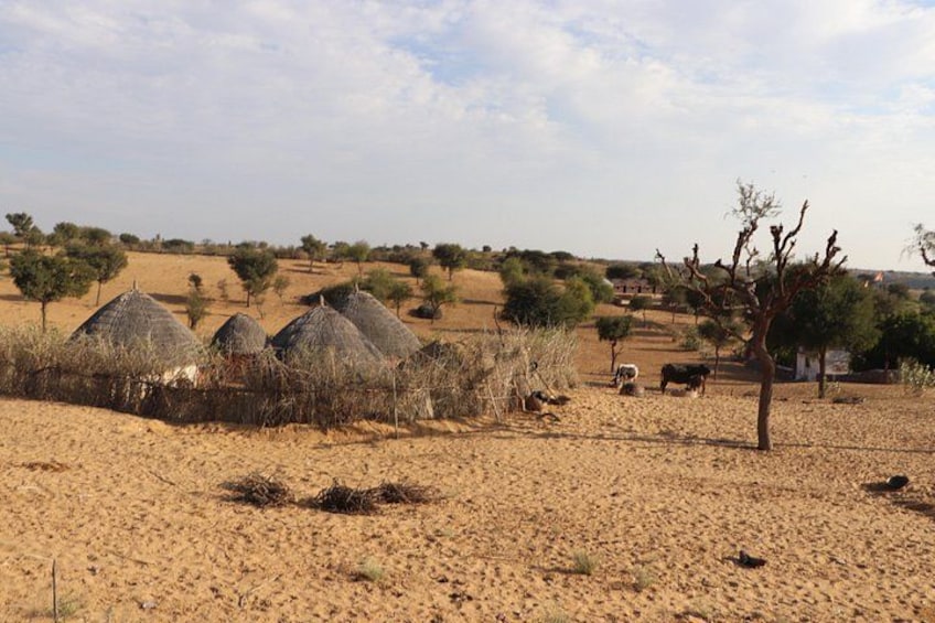 A dry landscape with thatched huts, sparse trees, and a few grazing animals. 3