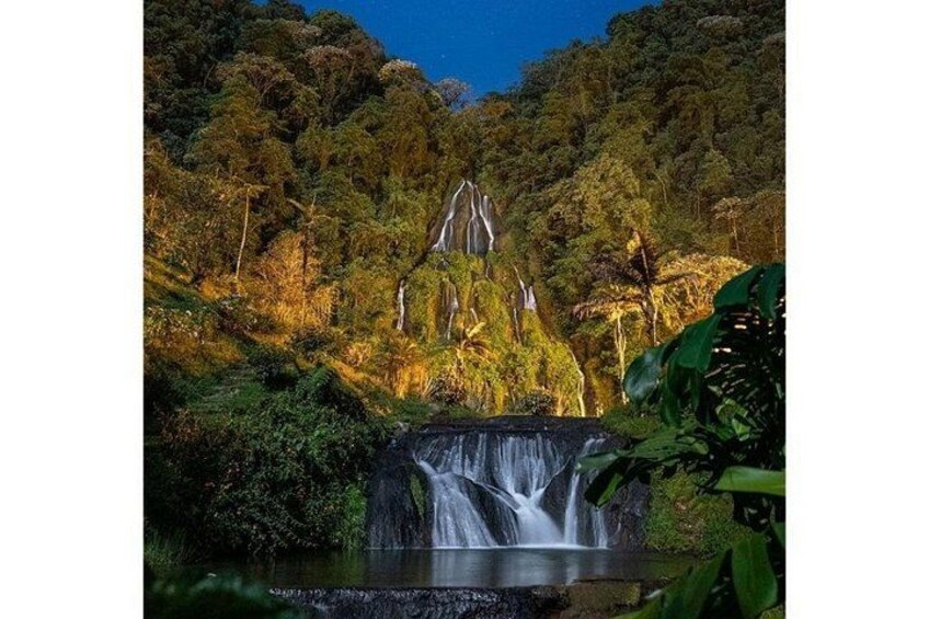 A waterfall cascading into a pool surrounded by dense forest. 1