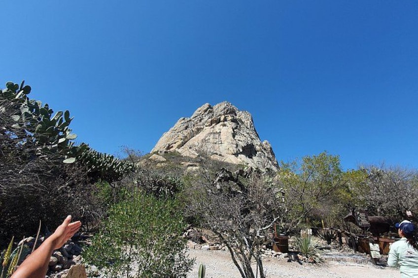 A rocky mountain, cacti, and a person reaching out. 1