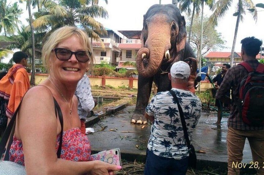 A woman holding a phone, an elephant, and a man taking a photo. 2