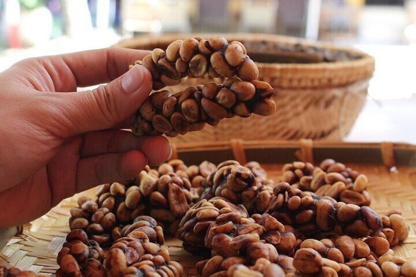 A hand holding a cluster of coffee beans with a basket of more beans in the background. 1