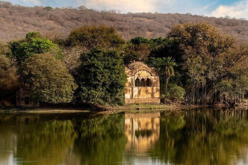 Tiger Safari-Ranthambore National Park 3