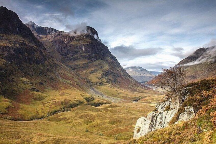Paisaje montañoso con un valle, afloramientos rocosos y un árbol. 3