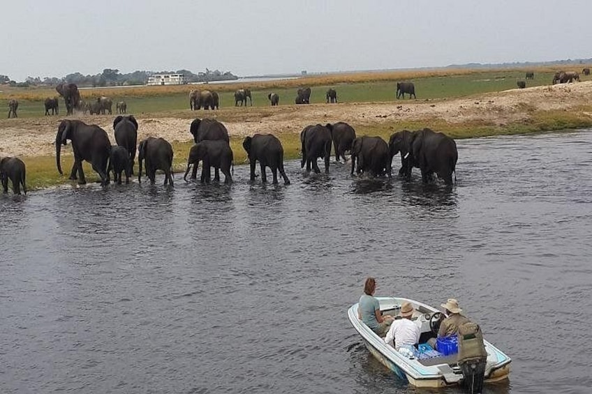 En flod med elefanter og en båd med mennesker. 5
