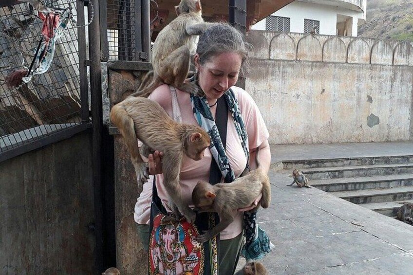 A person holding a monkey, with a metal gate and steps in the background. 3