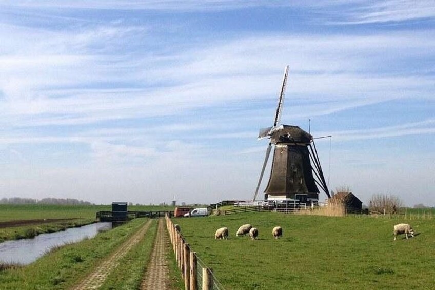 Holland Private Custom Tour windmills 1