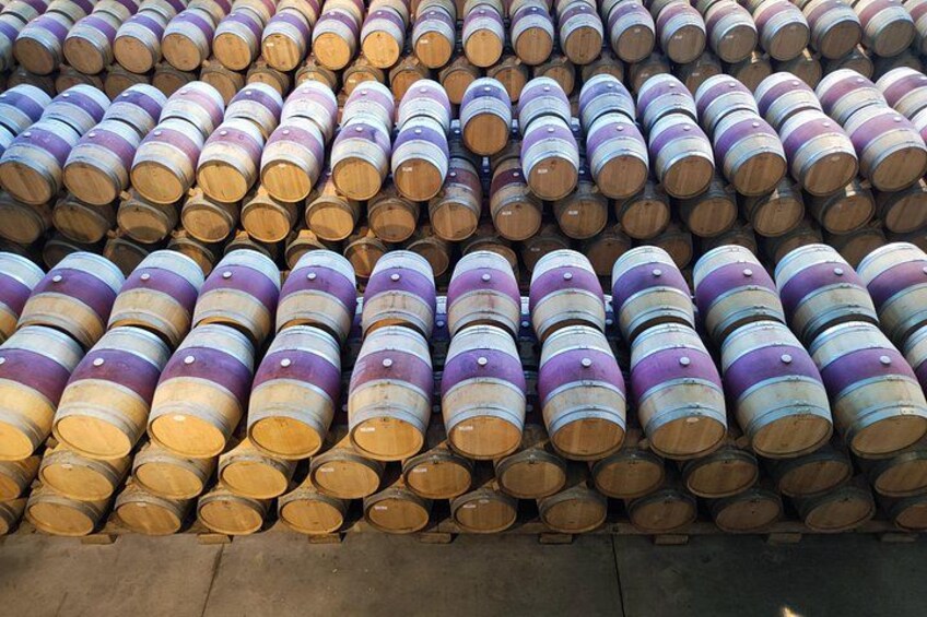 Rioja Full Experience Tour from San Sebastian with Lunch 5