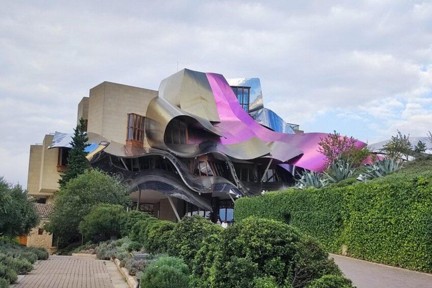 Rioja Full Experience Tour from San Sebastian with Lunch 3