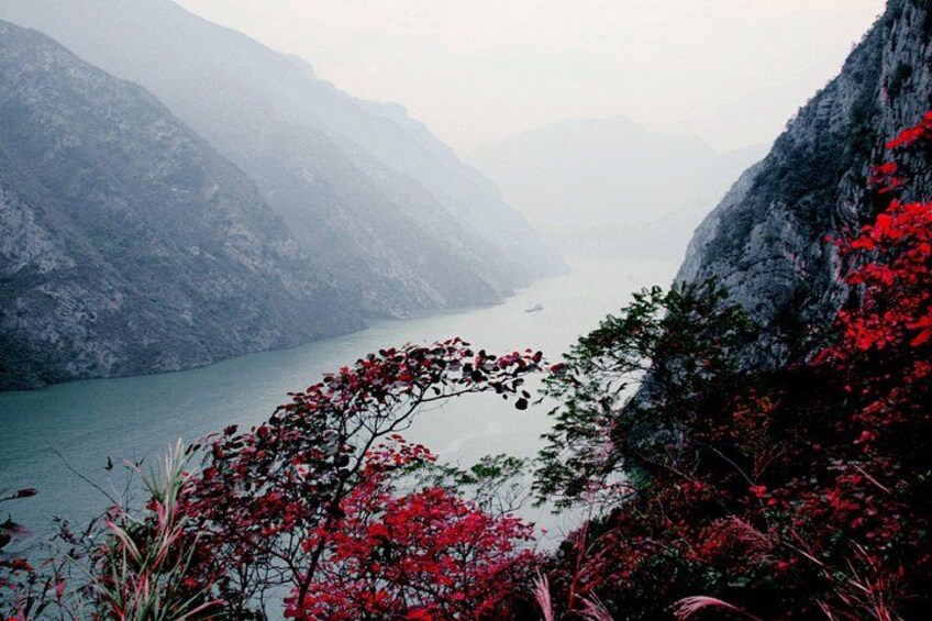 Yangtze River Deluxe Cruise 4D/3N from Chongqing to Yichang 2