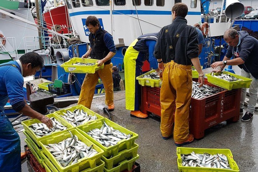Mensen hanteren vis in kratten op het dek van een boot. 4