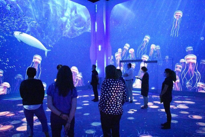 An aquarium with jellyfish and fish exhibits. 2