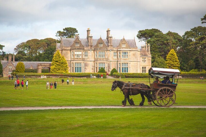 A horse-drawn carriage on a grassy field with a large historic building in the background. 4