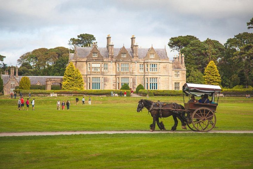 A horse-drawn carriage on a grassy field with a large, historic building in the background. 4