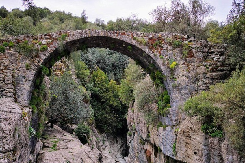 Un antico ponte in pietra ad arco che sovrasta un profondo burrone, circondato da una vegetazione rigogliosa. 2