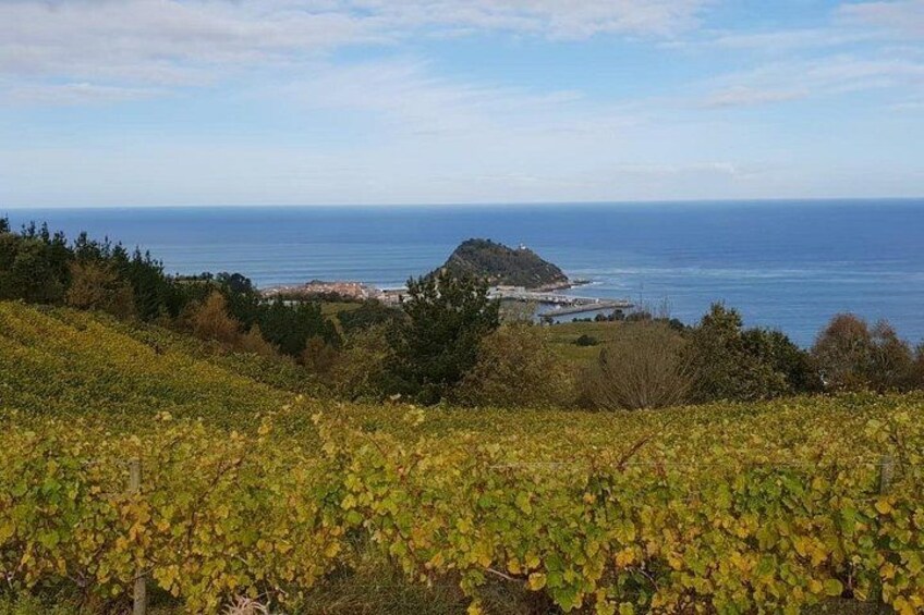 Getaria Txakoli wine tour from San Sebastian 3
