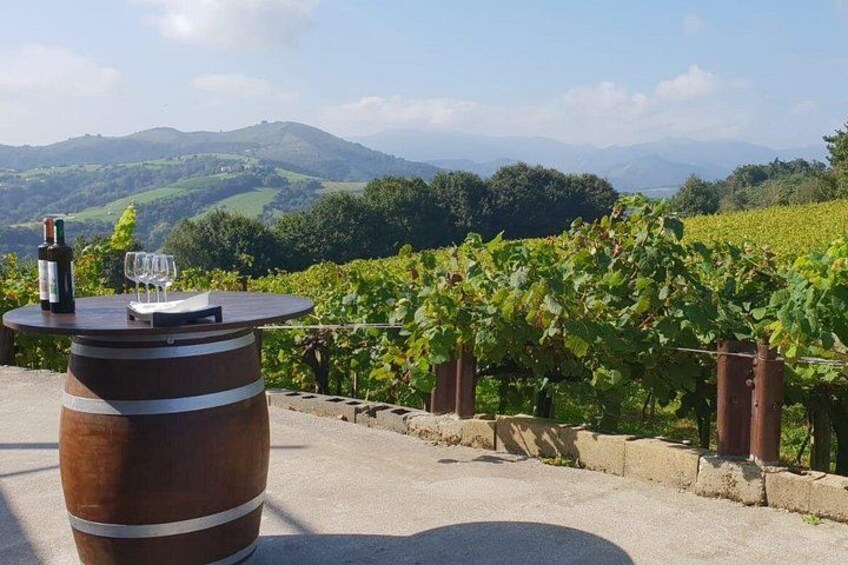 Getaria Txakoli wine tour from San Sebastian 5