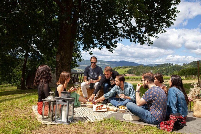 A group of people having a picnic outdoors with a scenic landscape in the background. 5