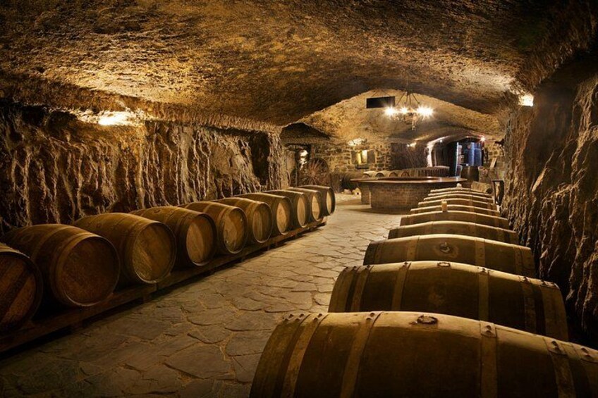 Rioja wine tour: winery and traditional lunch from San Sebastian 5