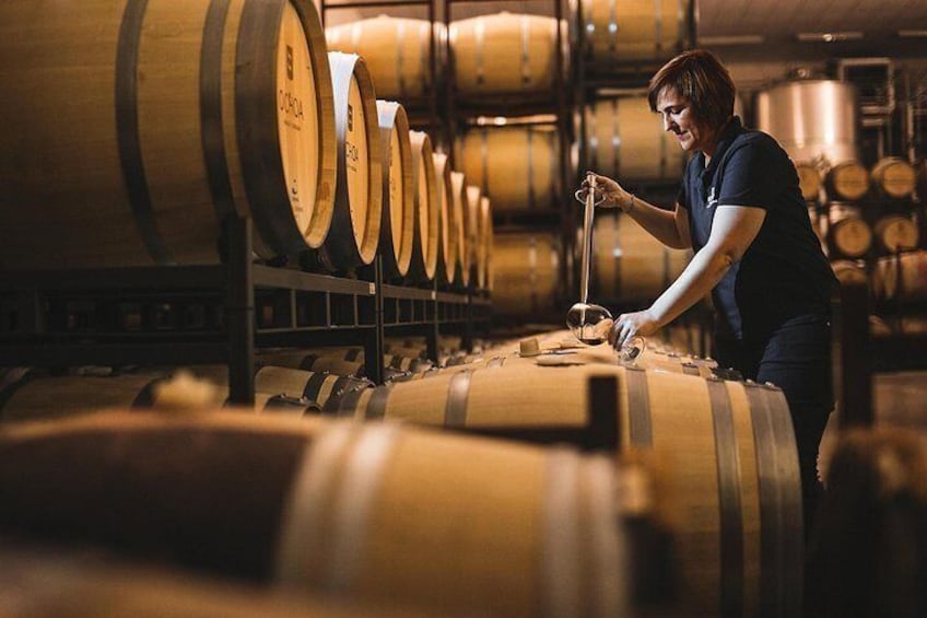 La Rioja wines and Laguardia tour from Bilbao 2