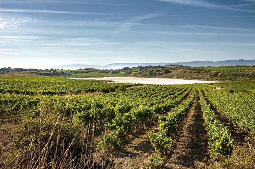 La Rioja wines and Laguardia tour from Bilbao 1