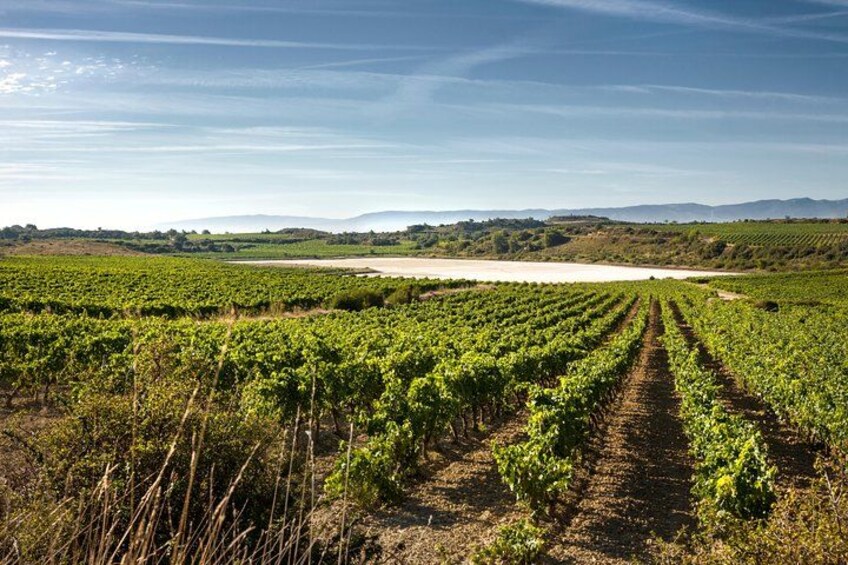 La Rioja wines and Laguardia tour from Bilbao 1
