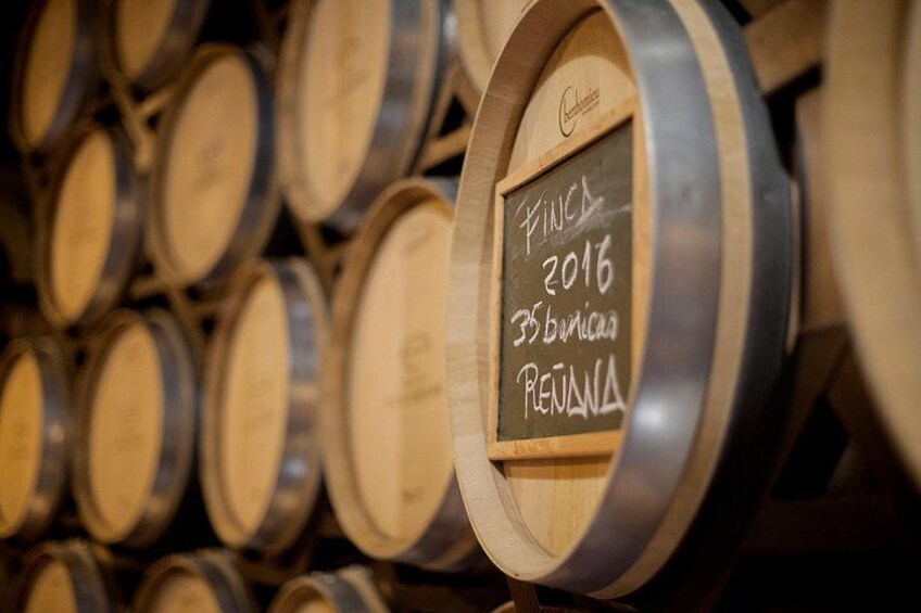 La Rioja wines and Laguardia tour from Bilbao 2