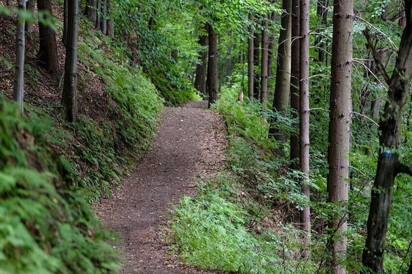 Camino de Santiago hike in San Sebastian 2