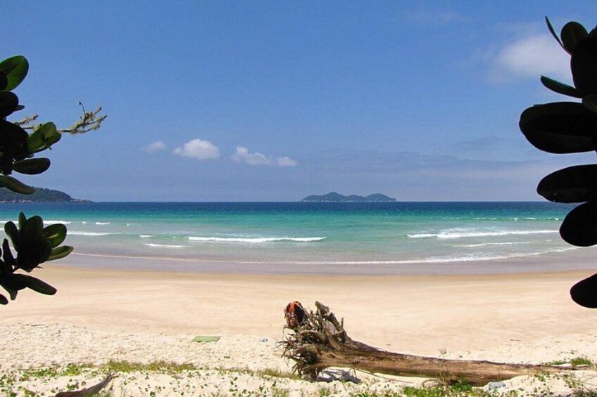 Una playa con un tronco grande al frente, orilla arenosa y un mar tranquilo con islas a lo lejos. 1