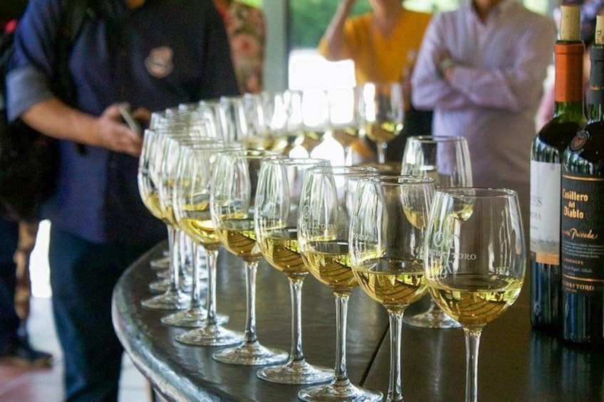 A row of wine glasses filled with white wine, a bottle of wine, and a person in the background. 2