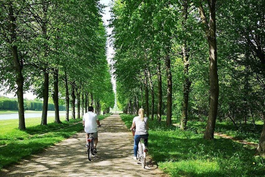 A pathway lined with trees, a person on a bicycle, and another person walking a dog. 1