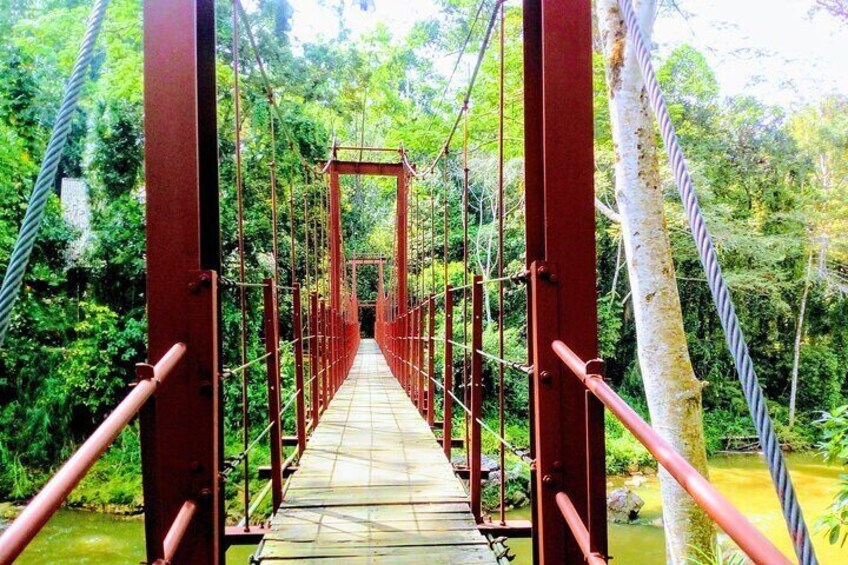 Sinharaja Rainforest & Udawalawe Safari, 2 Days All Inclusive