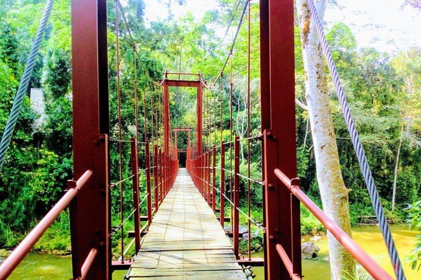 A suspension bridge with red metal beams and ropes, surrounded by lush greenery and a river below. 4