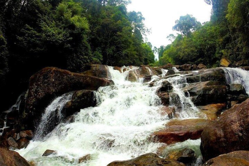 Una cascada fluye sobre rocas en un área boscosa. 1