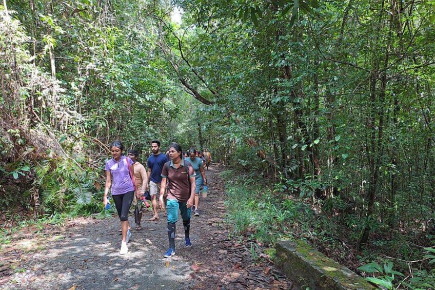 Kanneliya Rain Forest Tour 3