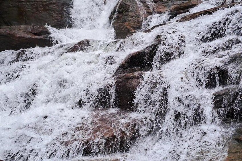 Kanneliya Rain Forest Tour 2