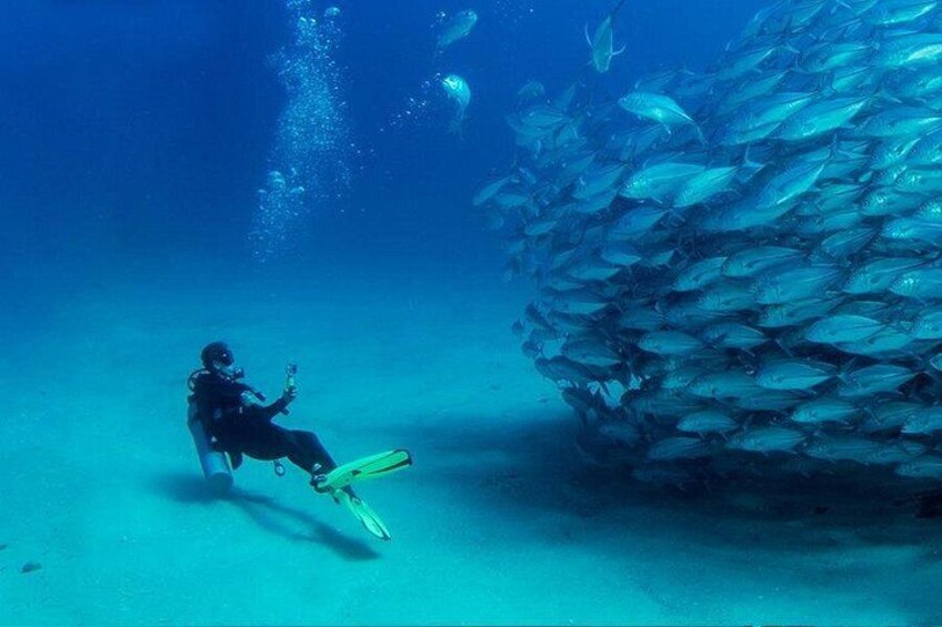 Antalya Scuba Diving W/Lunch & Transfers 2