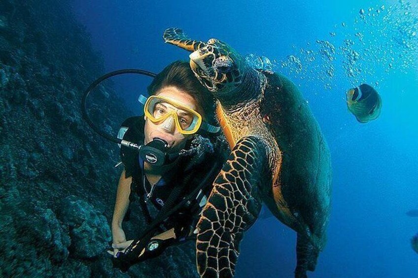 scuba diving by u can travel