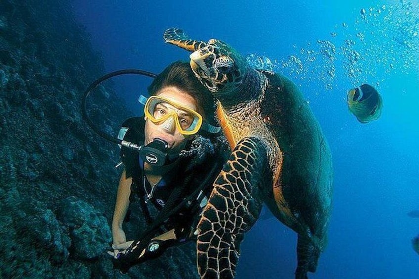 scuba diving by u can travel 1