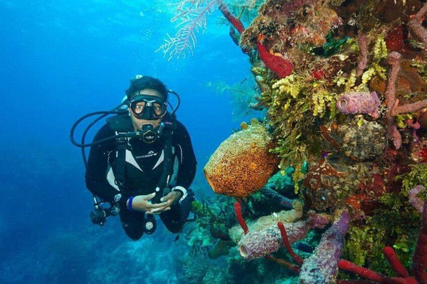 Antalya Scuba Diving W/Lunch & Transfers 2