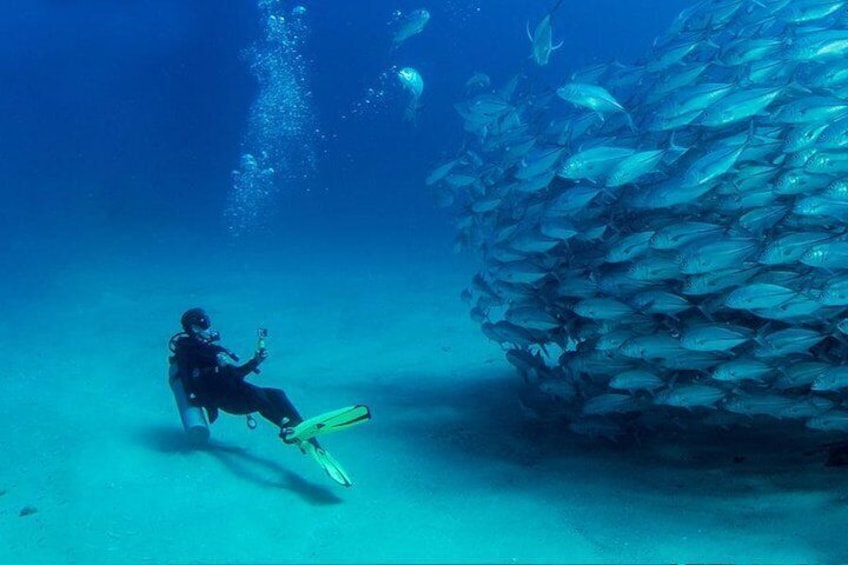 Scuba Diving full of adrenaline in Antalya